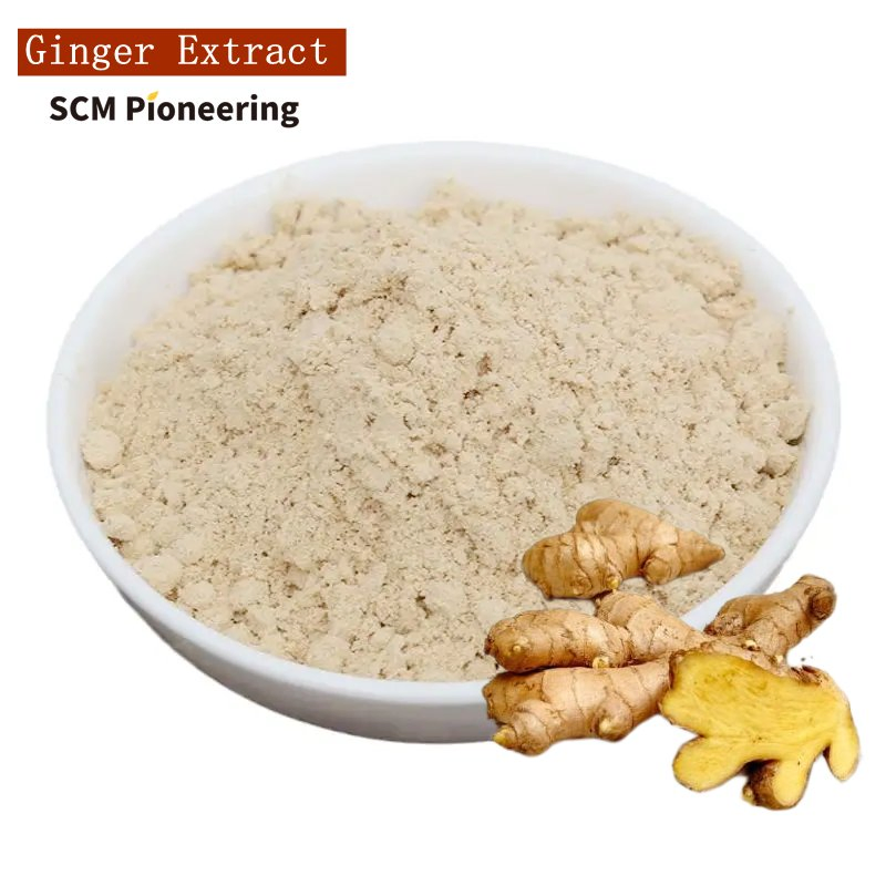 Wholesale Price Ginger Extract 10: 1 Food Grade Ginger Extract Powder