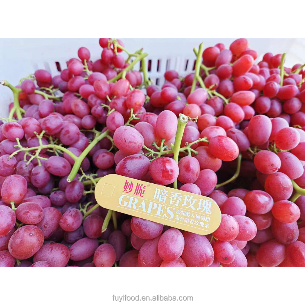 High Brix Juicy Fresh Fruit Rose Red Grape Price