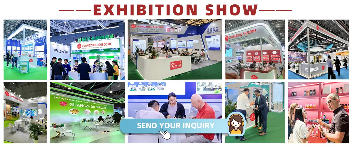 Exhibition Event Photo