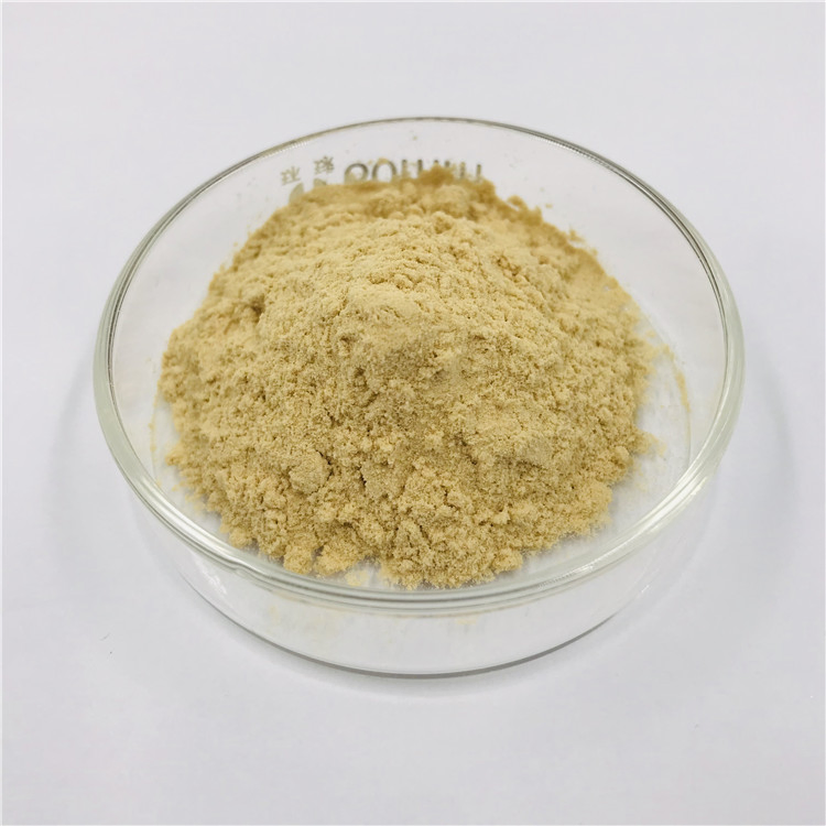 Natural Herbal Extract Sanchi Powder Notoginseng Total Saponins (Panax Notoginseng Folium Extract)