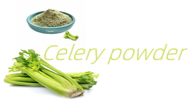 Celery Extract Powder Banner