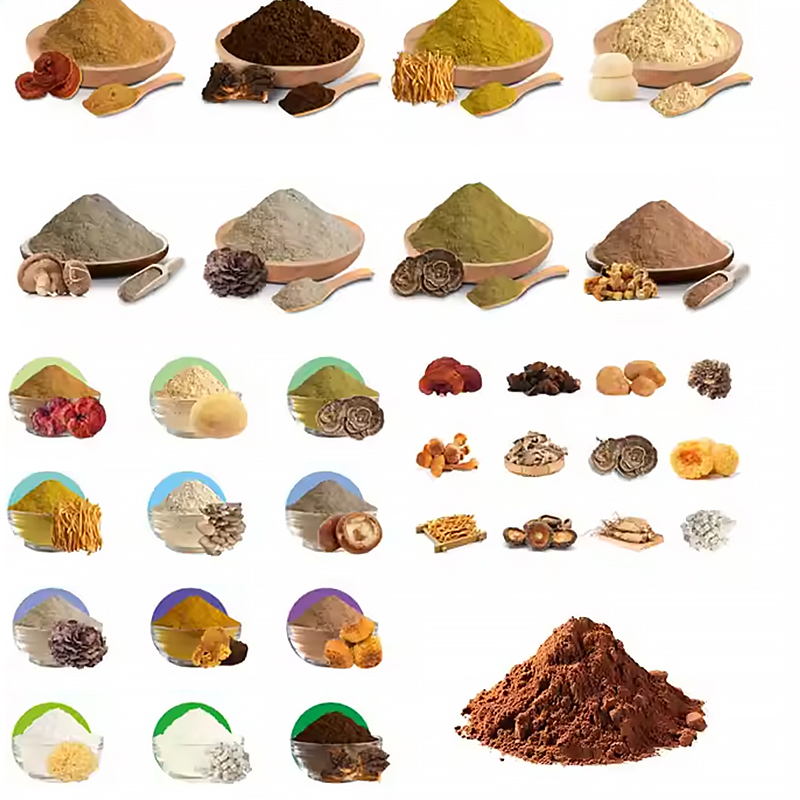 Halal Certified Gentiana Root Extract Powder Bulk Natural Gentian Root Extract 10: 1 for Nutraceutical Use