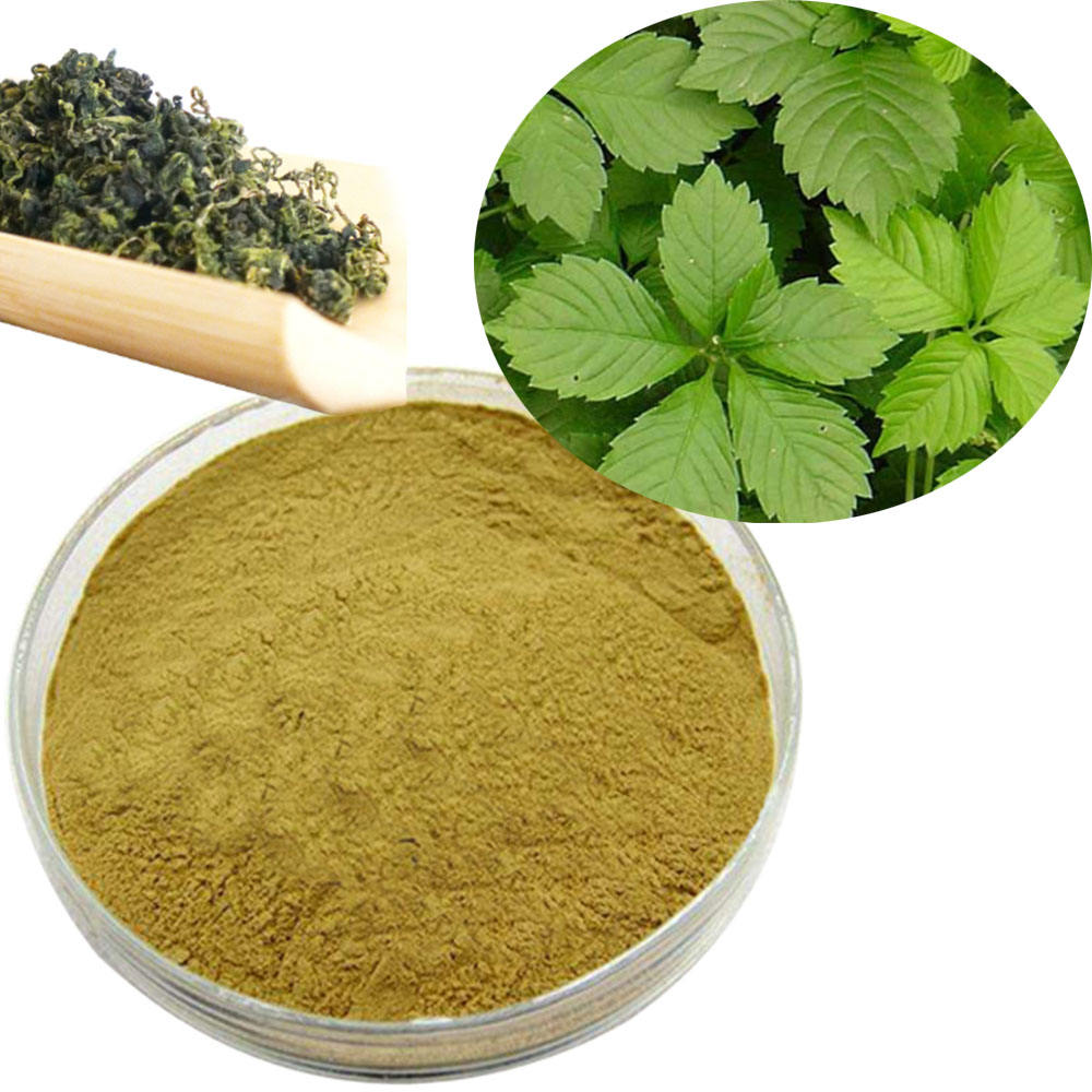 Manufacturer 100% Natural Sevenleaf Gynostemma Extract Gynostemma Pentaphyllum Herbal Plant Extract Gypenosides20%