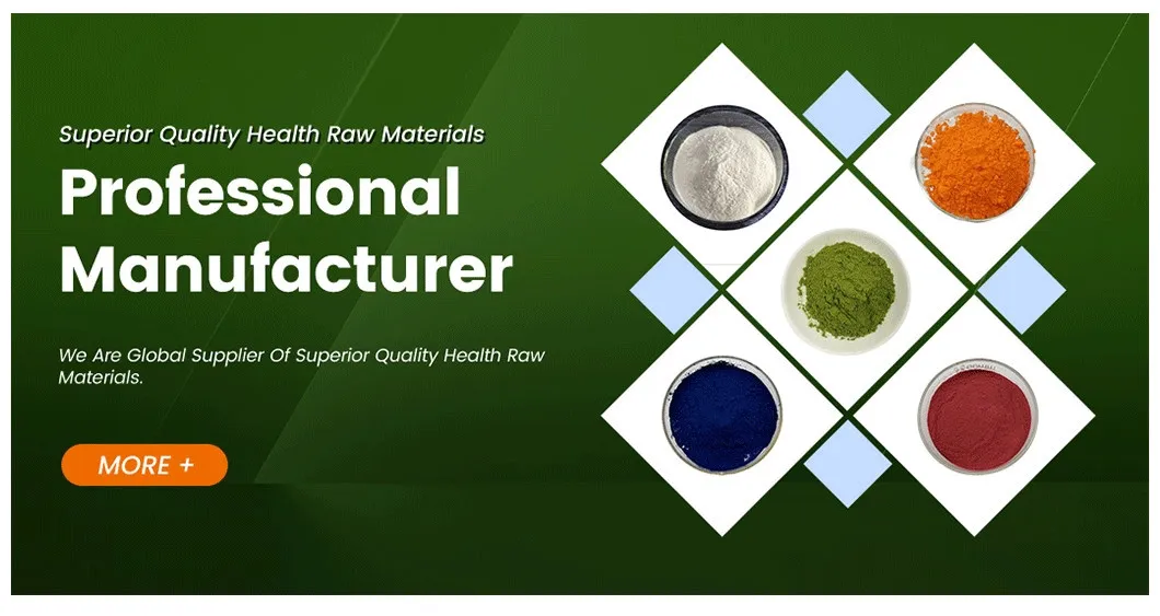 Natural Herbal Extract Sanchi Powder Notoginseng Total Saponins