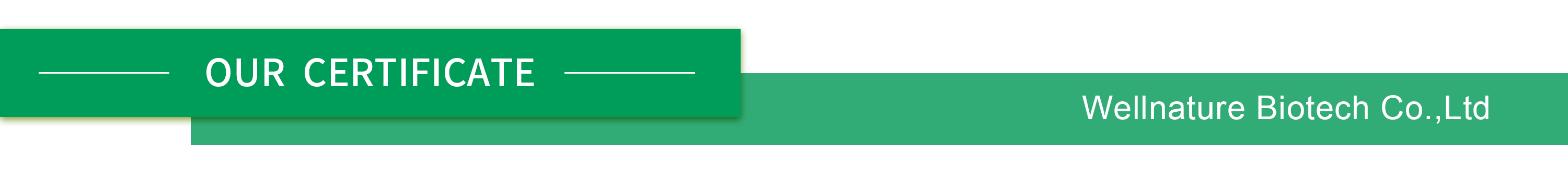 Company Certifications