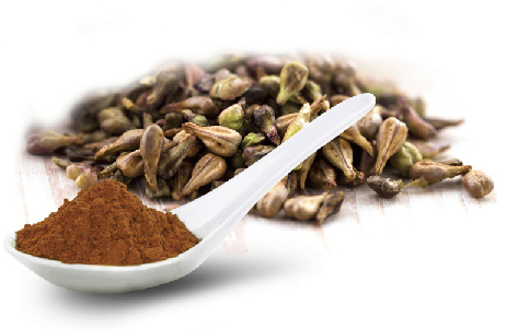 Natural Pure Supplement Grape Seed Extract OPC 95%