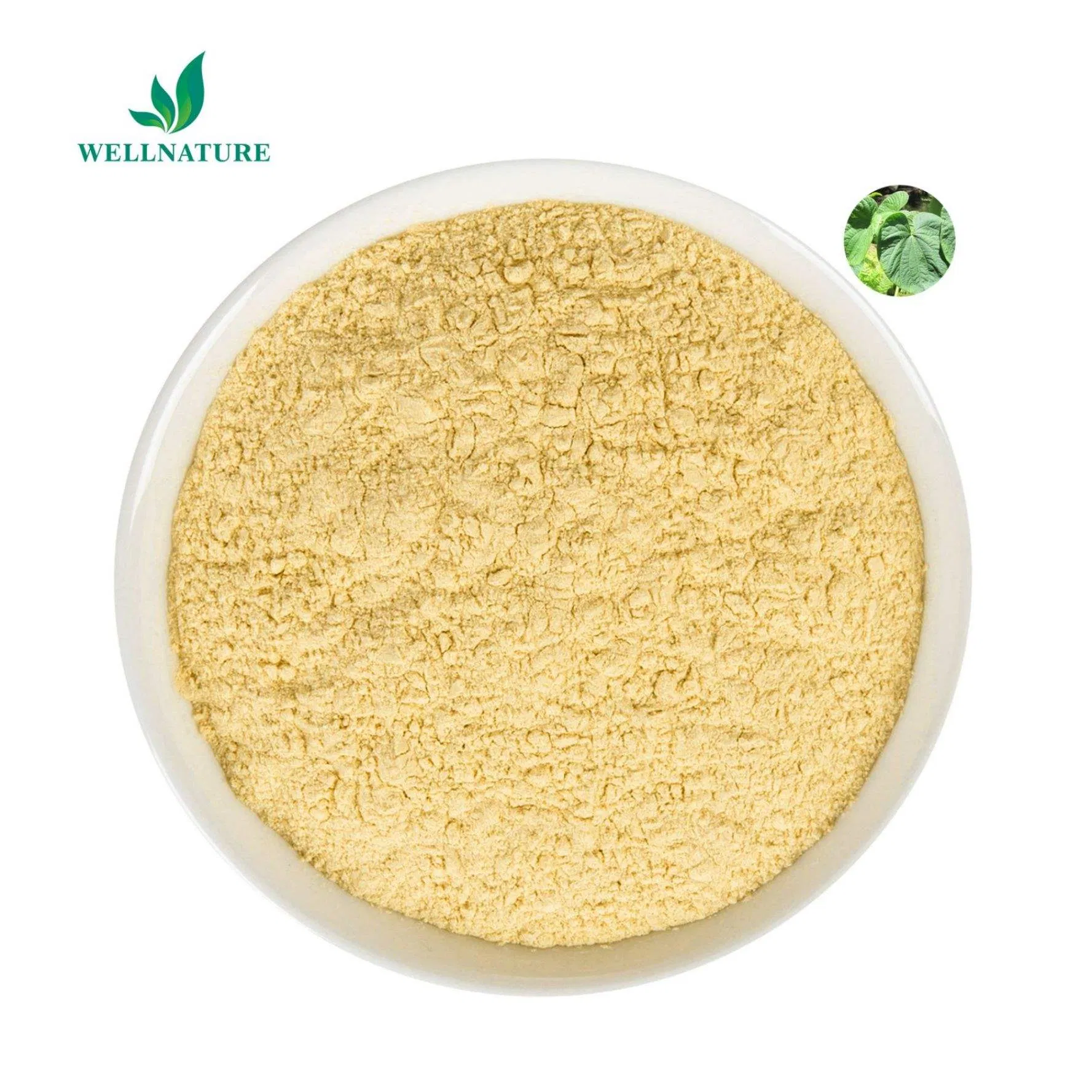Standardized Kava Extract Powder 30% Kavalactones for Dietary Supplements with GMP