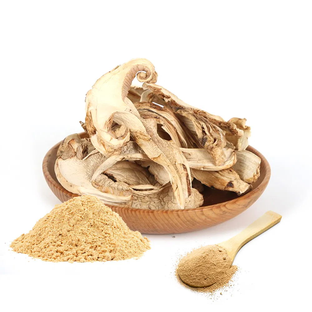 Oyster Mushroom Supplement Pleurotus Ostreatus Powde Mushroom Extract