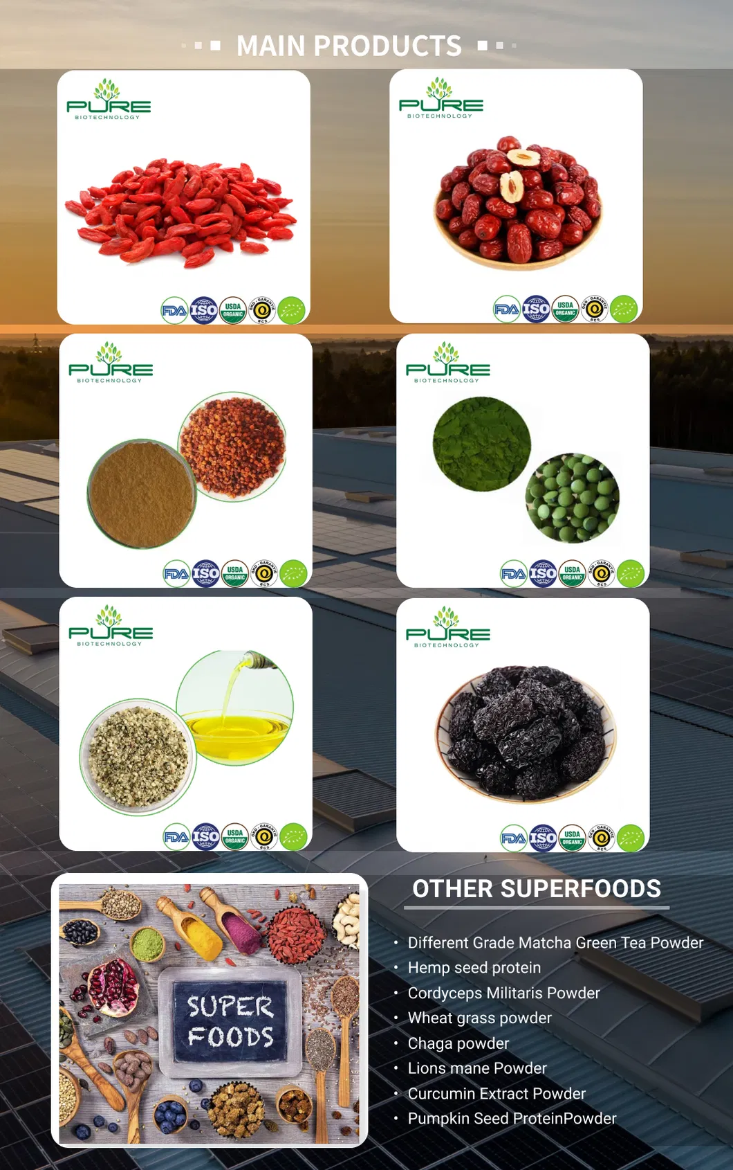 Acai Extract Powder: Organic Plant Extract for Nutraceutical Applications