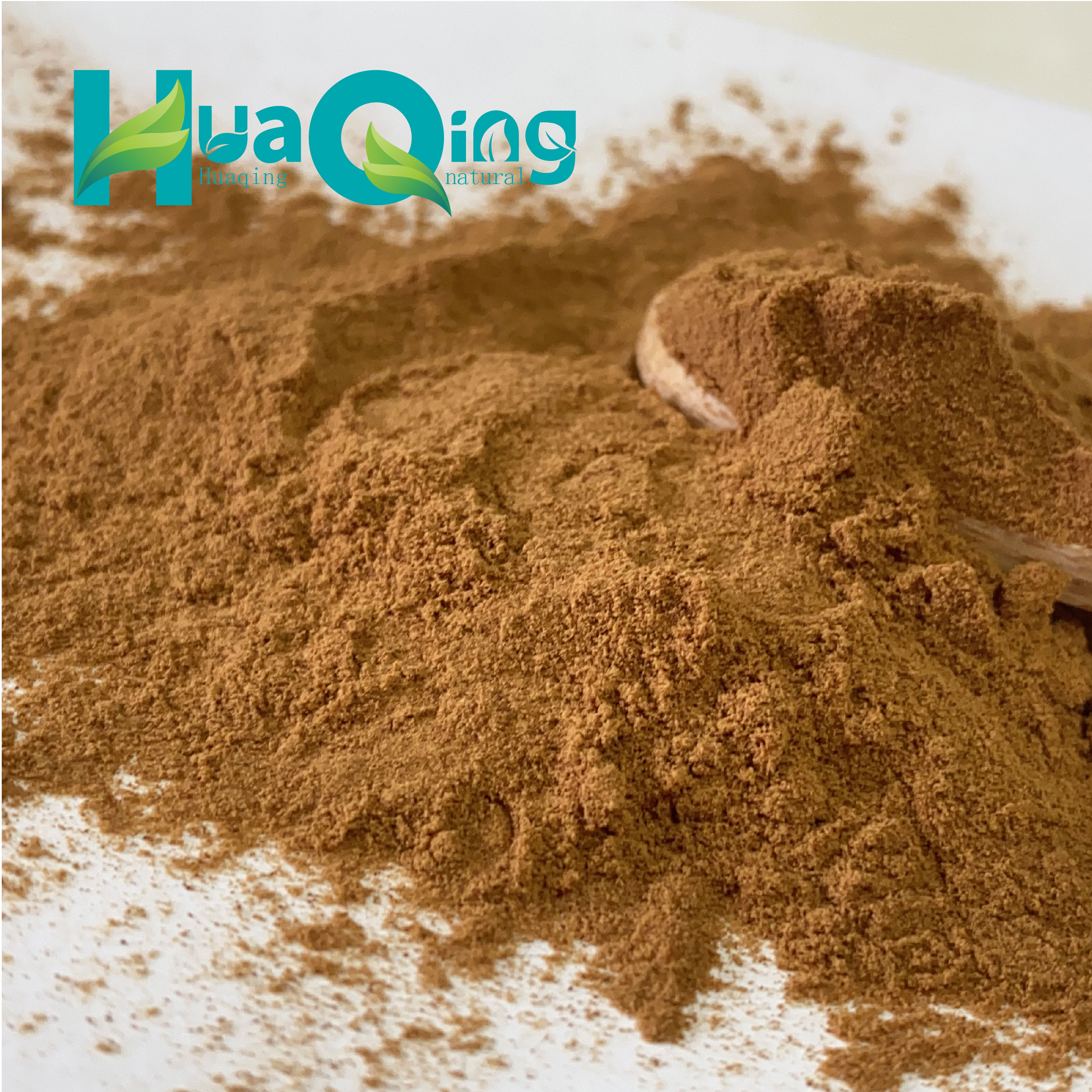 Chinese Supplier Wholesale Bamboo Leaf Extract Powder