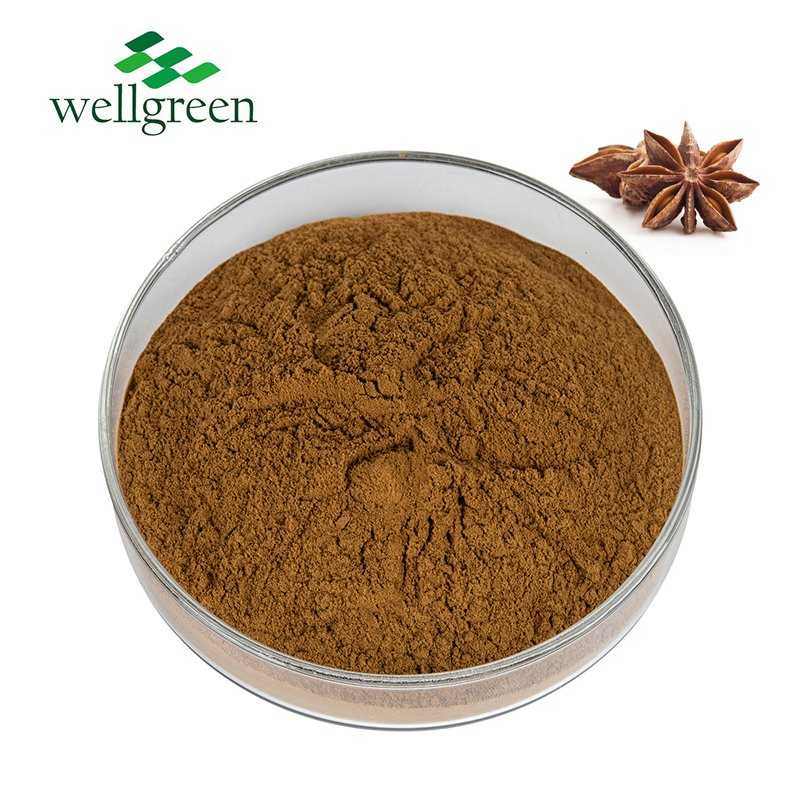 Wholesale Price Natural Herbal Sweet Fennel Extract Powder/ Liquid