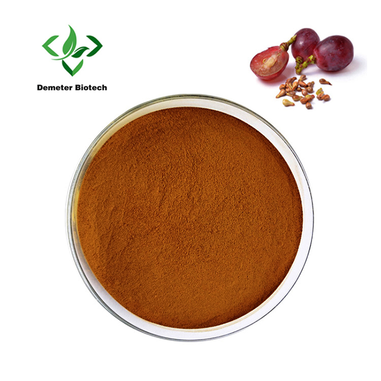 High Quality Natural 95% OPC Procyanidins Powder Grape Seed Extract Powder