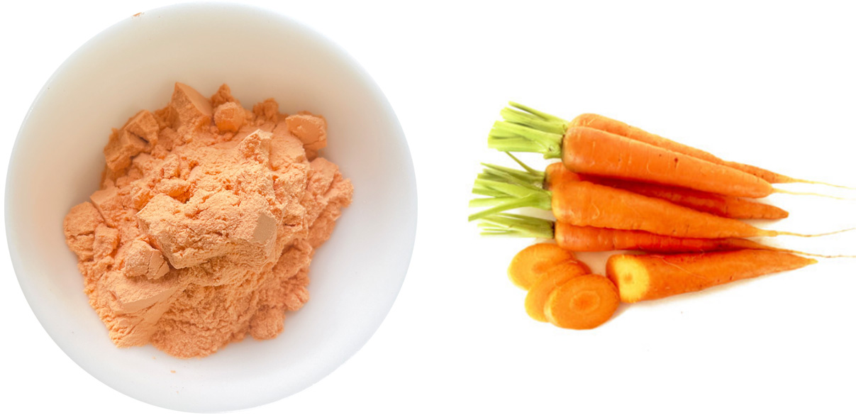 Carrot Powder Description