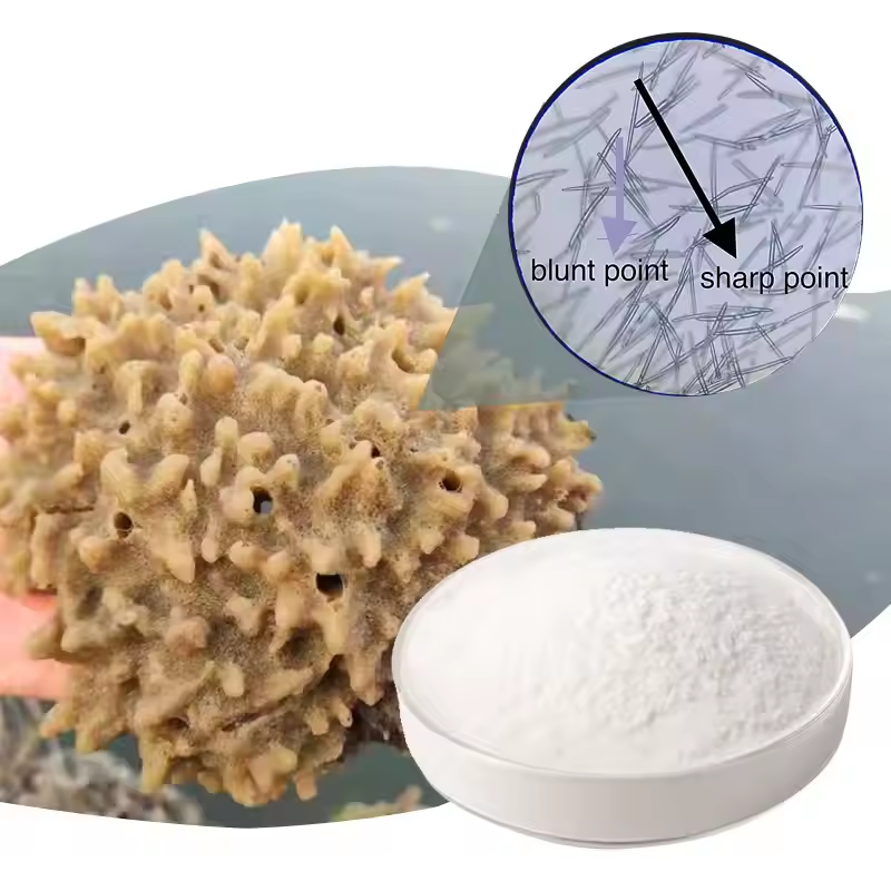 Wild 99% Purity Plant Extract and Marine Sponge Spicule Powder 1kg MOQ for Professional Acne Removal Cosmetic Formulations