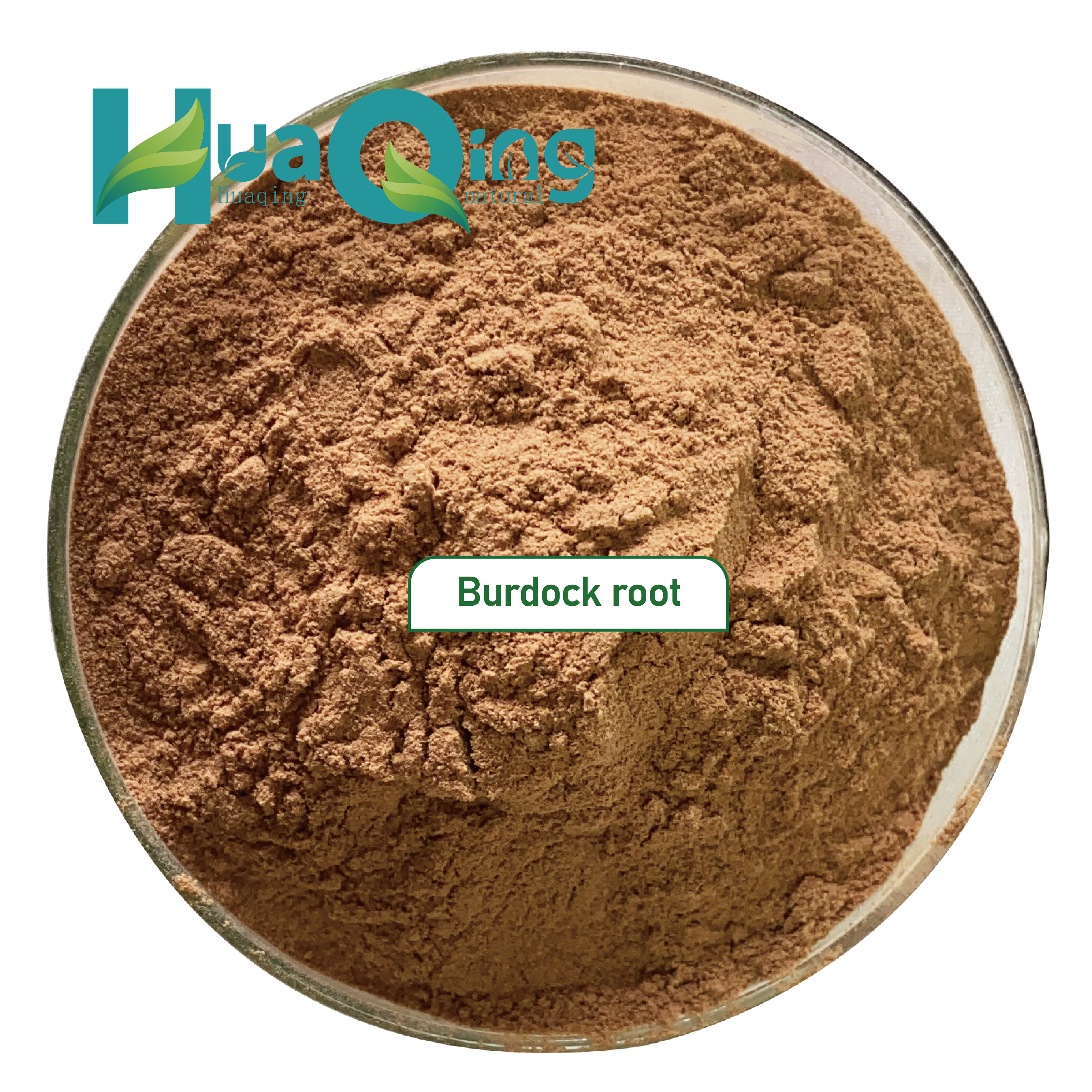 Pure Natural Burdock Root Extract