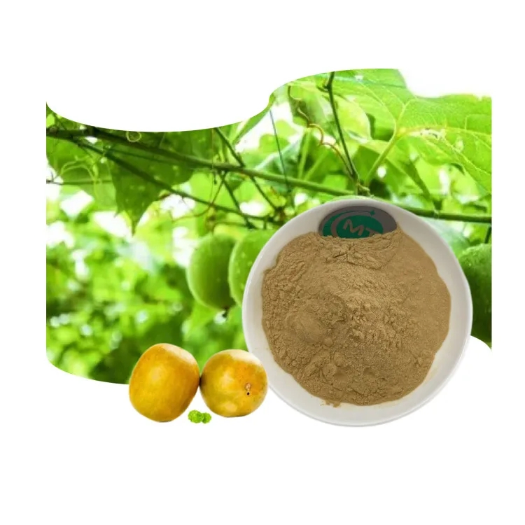 Factory Direct Supply Free Sample Zero-Calorie Plant Extract Fruit Extract Supplement Powder Organic Monk Fruit Extract