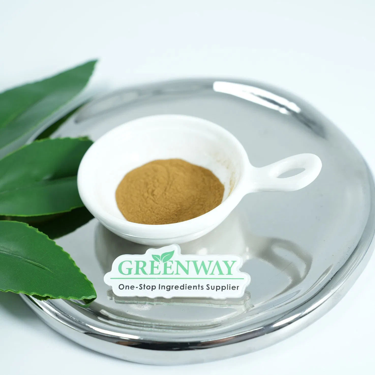 Cosmetic Grade Plant Herbal Extract Grape Seed Extract Vitis Vinifera (Grape) Seed Extract for Anti-Aging