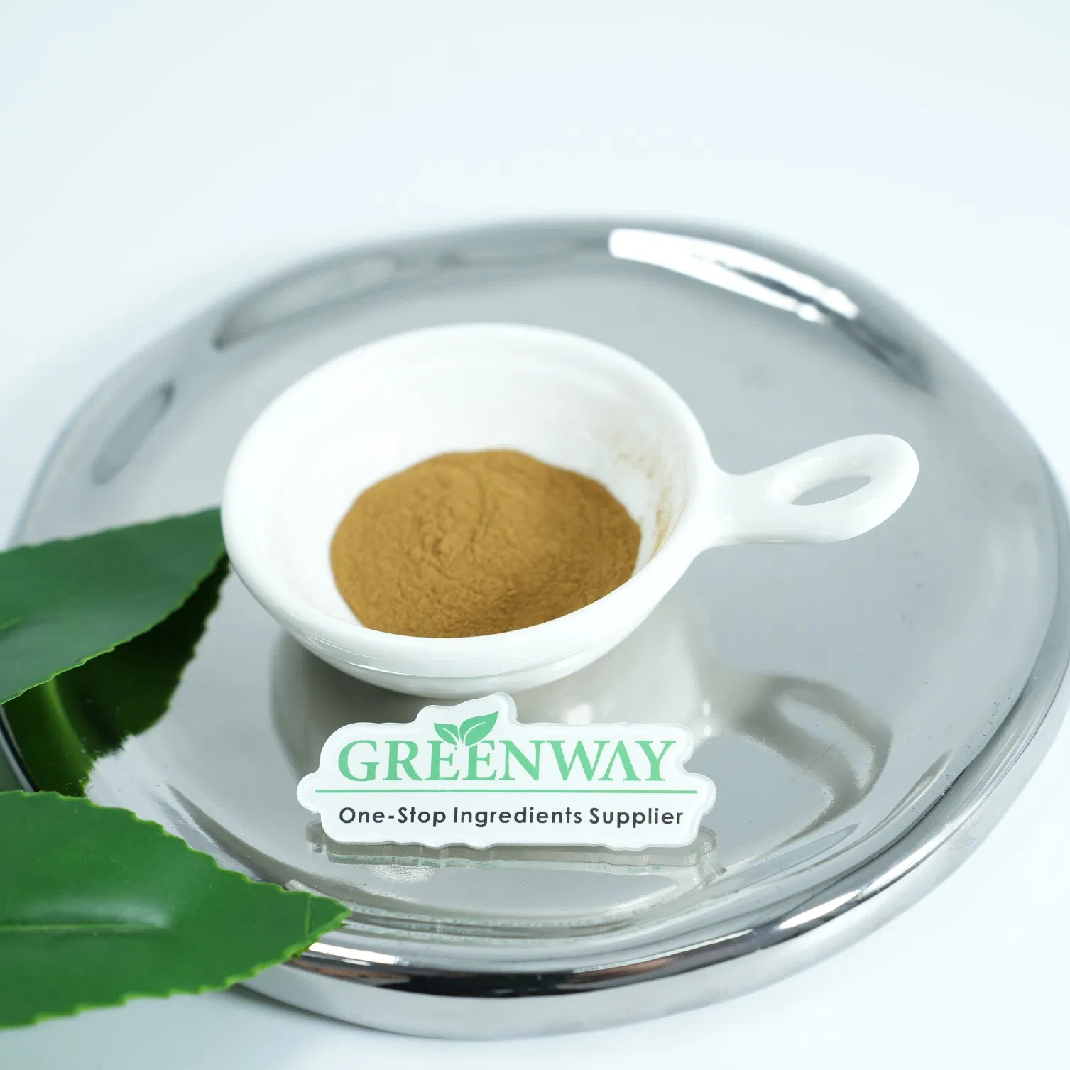 Cosmetic Grade Plant Herbal Extract Grape Seed Extract Vitis Vinifera (Grape) Seed Extract for Anti-Aging