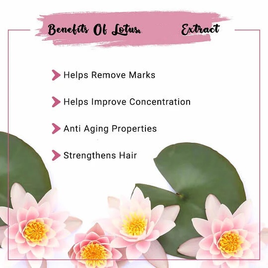 Lotus Leaf Extract Standard Testing