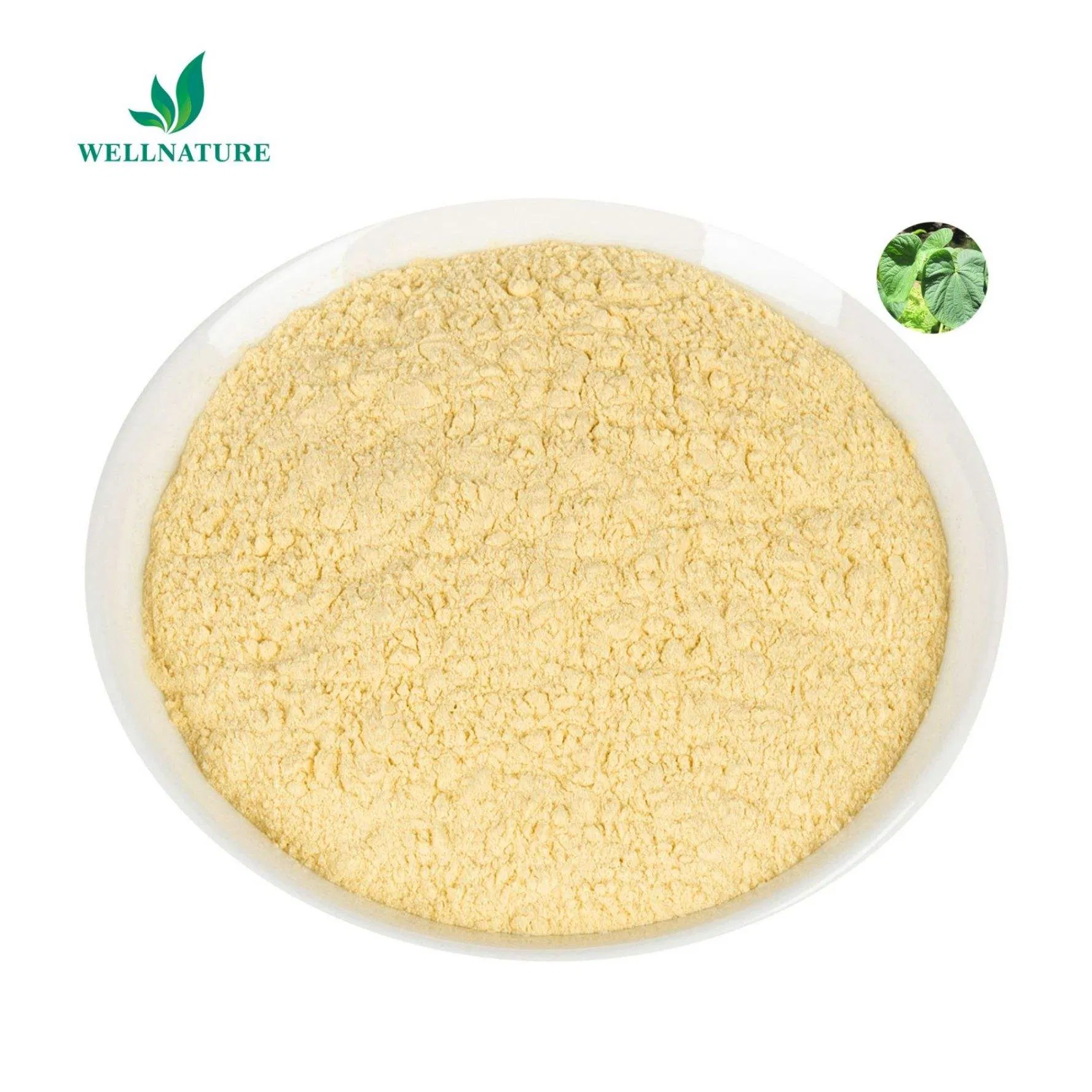 Standardized Kava Extract Powder 30% Kavalactones for Dietary Supplements with GMP