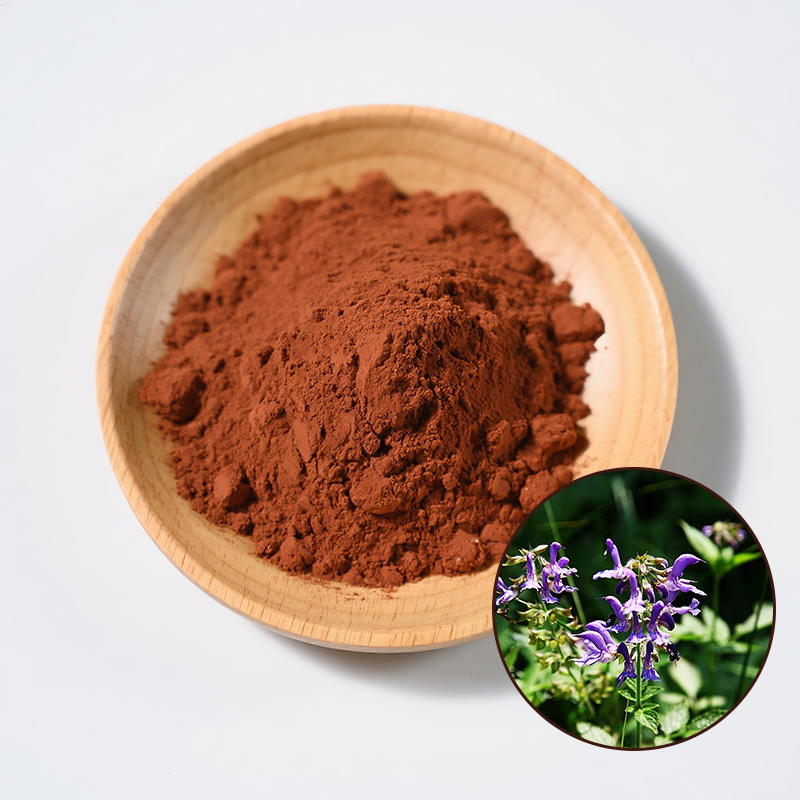 Factory Supply Salvia Miltiorrhiza Root Extract Salvianolic Acid B 40% Salvia Miltiorrhiza Root Extract Powder
