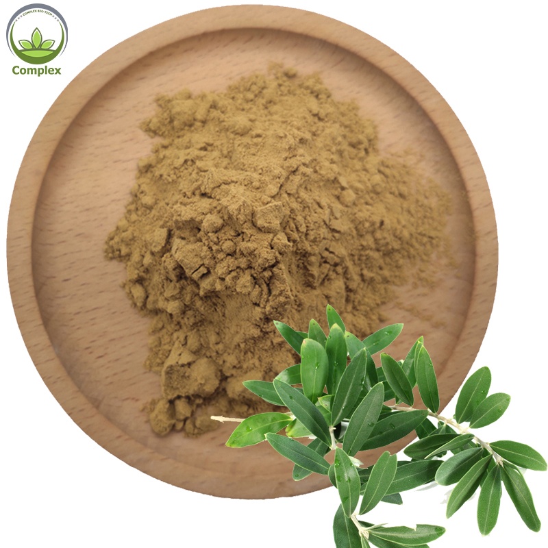 Supply Pure Organic Dried Fine Olive Leaf Extract Powder