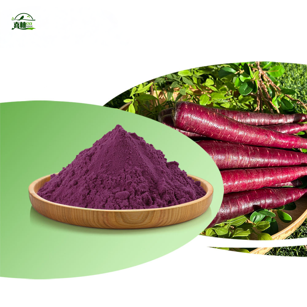 Best Price Fruit&amp;Vegetable Powder Bulk Black Purple Carrot Extract Concentrate Black Carrot Powder