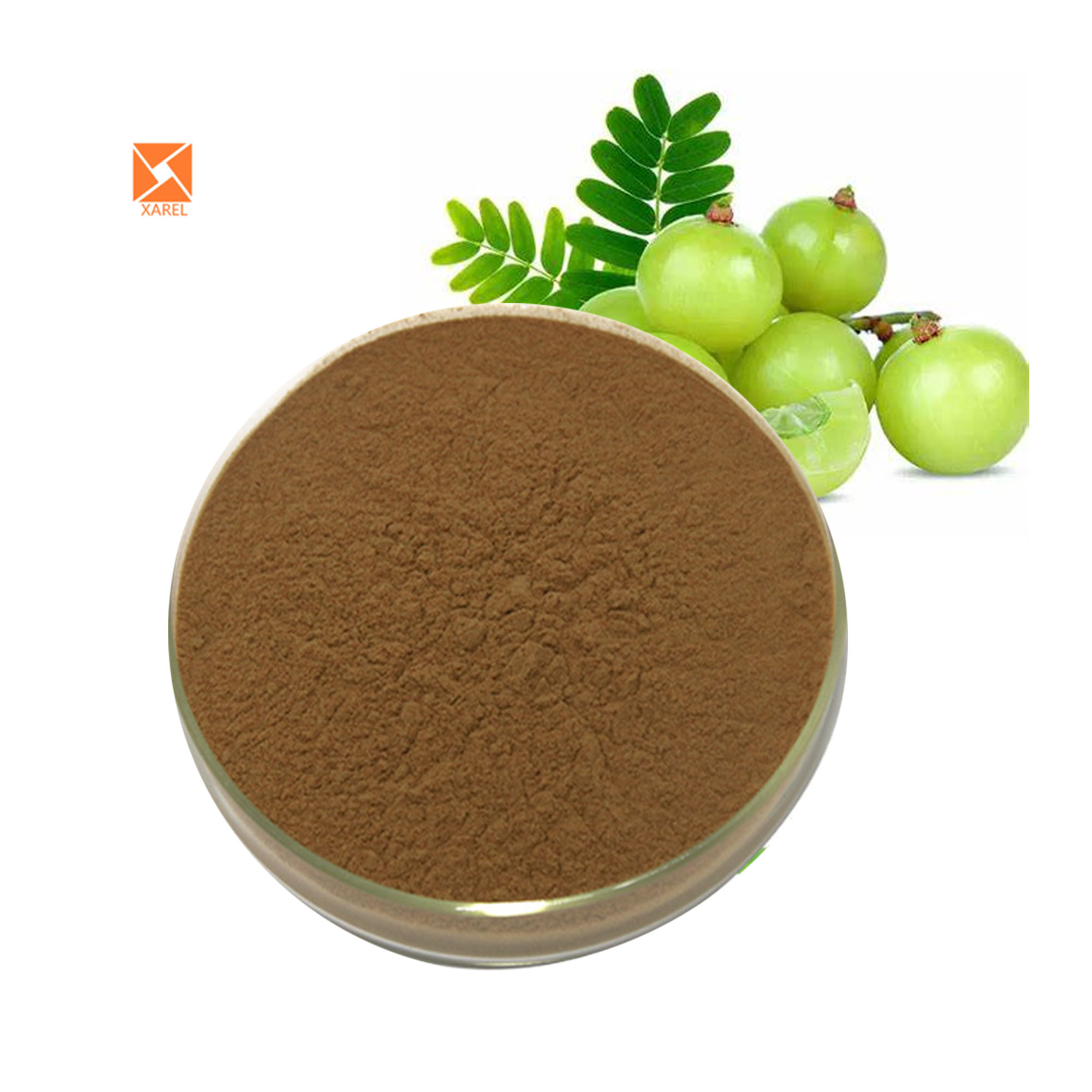 Factory Supply Certified Natural Amla Fruit Extract Amla Juice Powder
