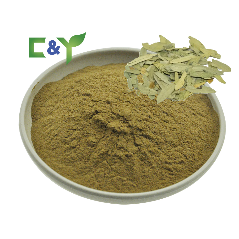 New Arrivals Senna Leaves Senna Leaf Extract Senna Leaf