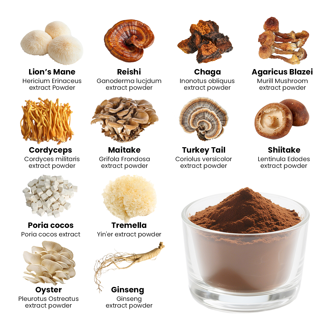 Qinshantang Lion's Mane Cordyceps Dual Extracted Mushroom Complex Extract Powder For Brain Nootropic Health Focus Memory
