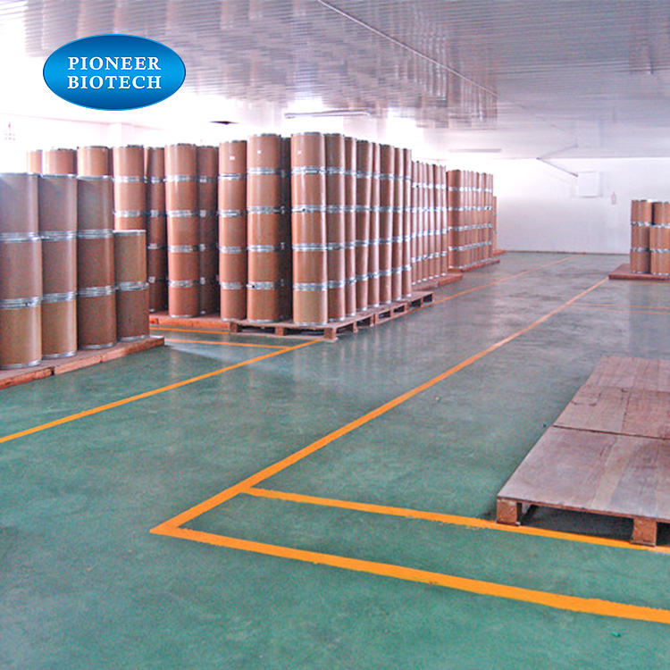 Factory Bulk Supply 95% Grape Seed Extract Powder 84929-27-1
