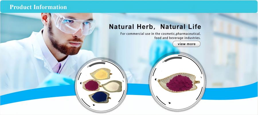 Moringa Leaf Powder Banner