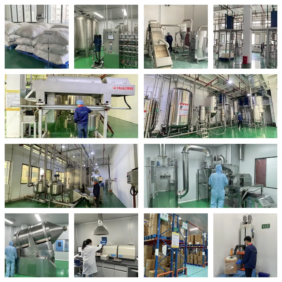 Natural Antioxidant 20% 30% Polyphenols Grape Red Wine Extract Powder for Nutraceuticals
