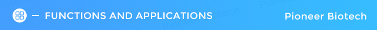 Application Header