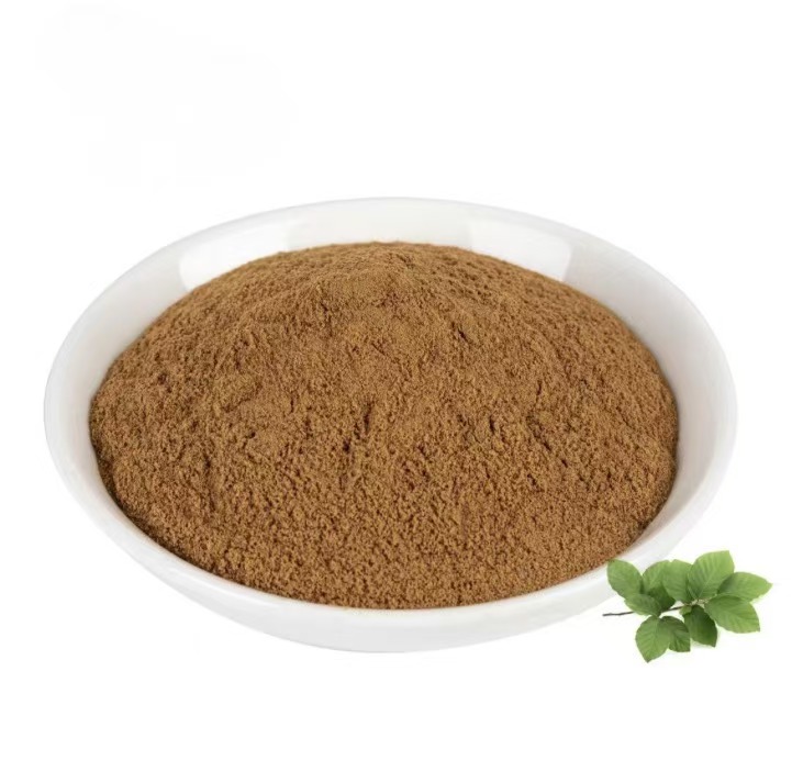 Wholesale Free Sample High Quality Food Grade Eucalyptus Leaf Extract Powder Protein 10:1 30:1 100% Pure Natural Drum Packaging