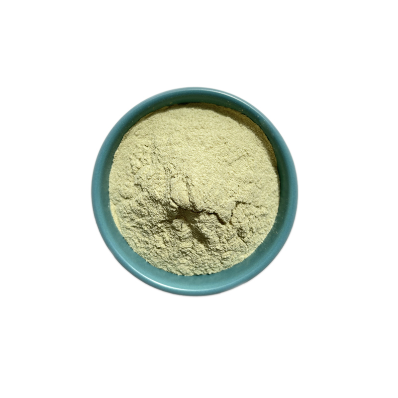 100% Natural Celery Extract Freeze Dried Vegetables Celery Extract Powder Celery Powder Factory Supply 98% Apigenin