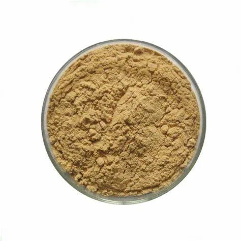 Wholesale High Quality Hops Flower Extract Powder Hops Extract 10: 1