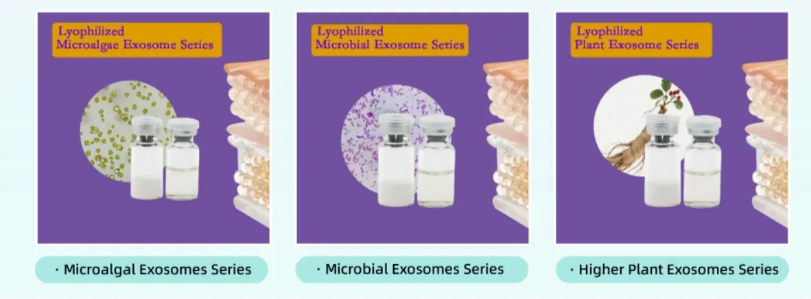 GMP Factory Exosomes Extracellular Vesicles Hair Growth Skin Booster Plant Extracts Ferment for Cosmetics