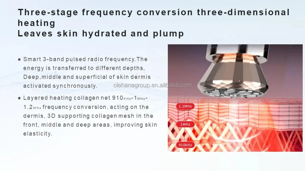 Skin Massager EMS RF Lifting Beauty Device
