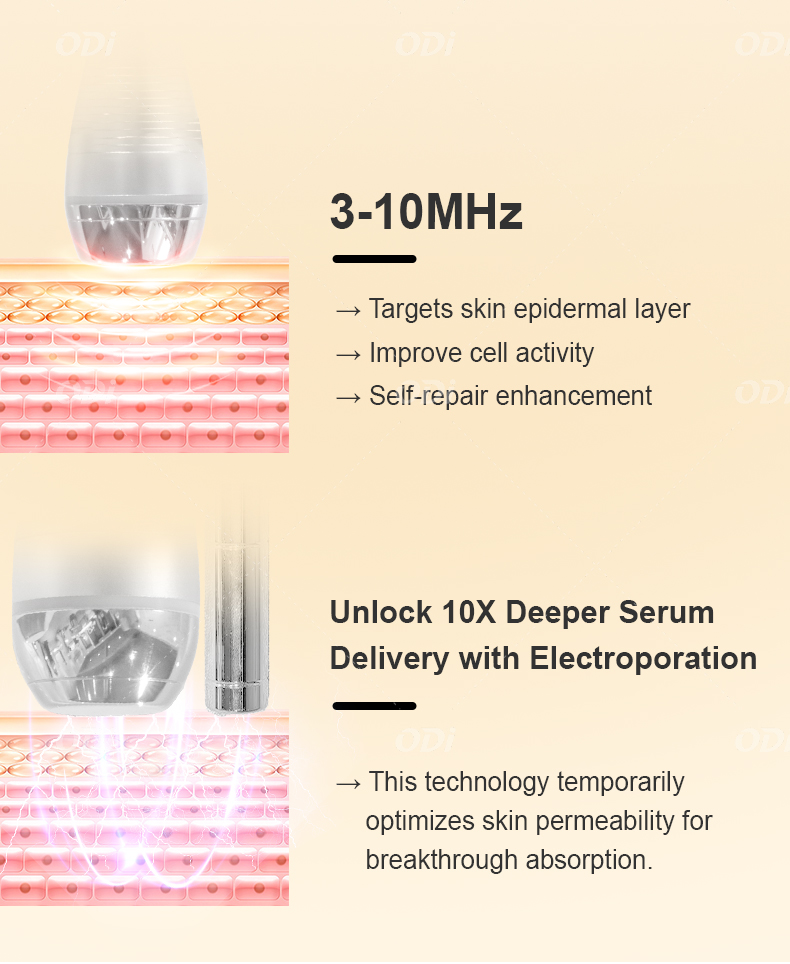 Dual Frequency Details