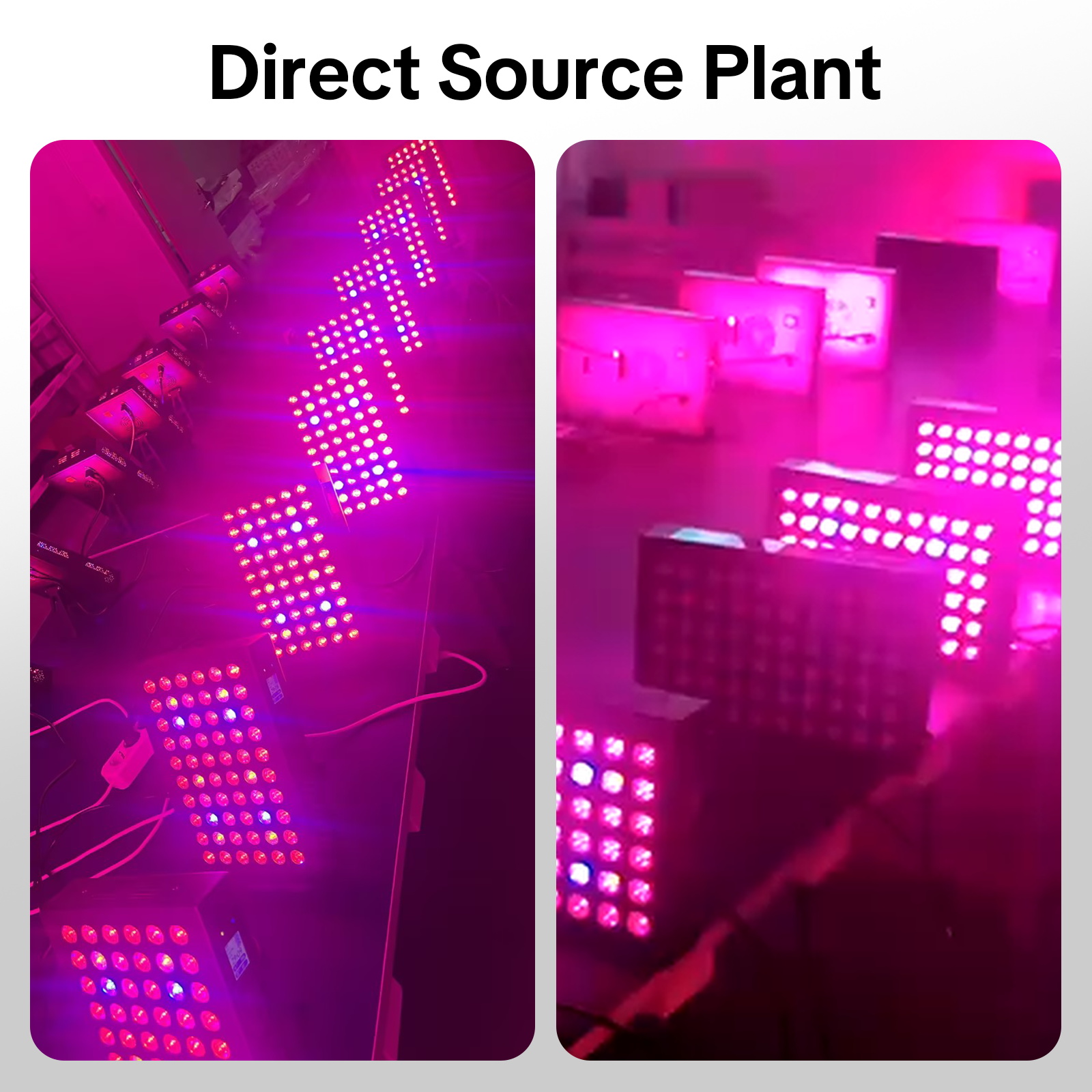 Packaging Image 6