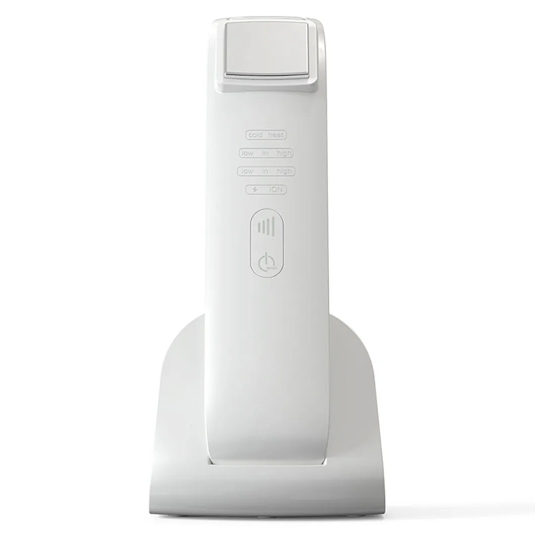 Customized Household EMS Microcurrent Vibration Ion Hot and Cold Anti-Wrinkles Beauty Device