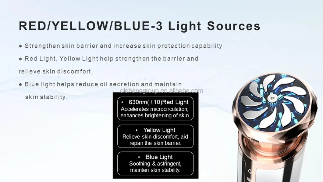 Skin Massager EMS RF Lifting Beauty Device