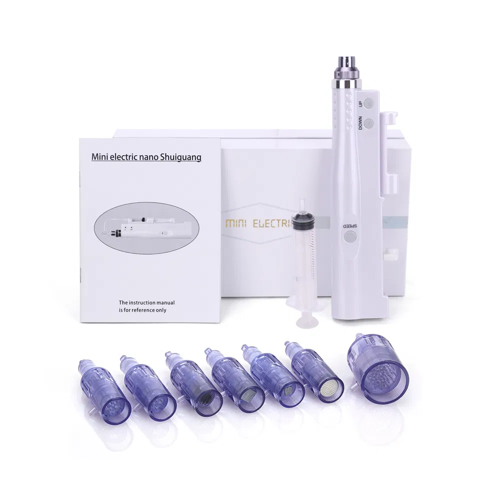 Portable Electric Mini Water Meso Smart Injector Pen Nano Mesotherapy Microneedle Derma Pen Beauty Device