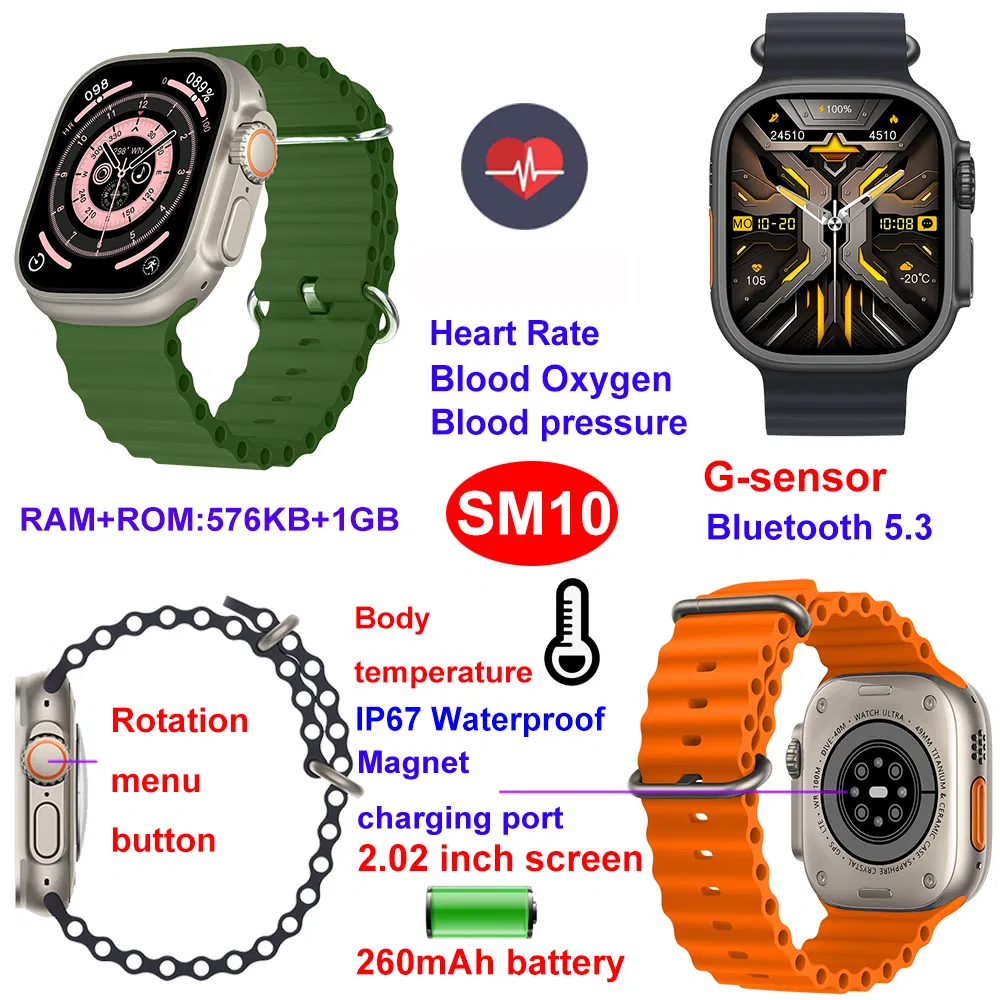 SM10 Detail 6