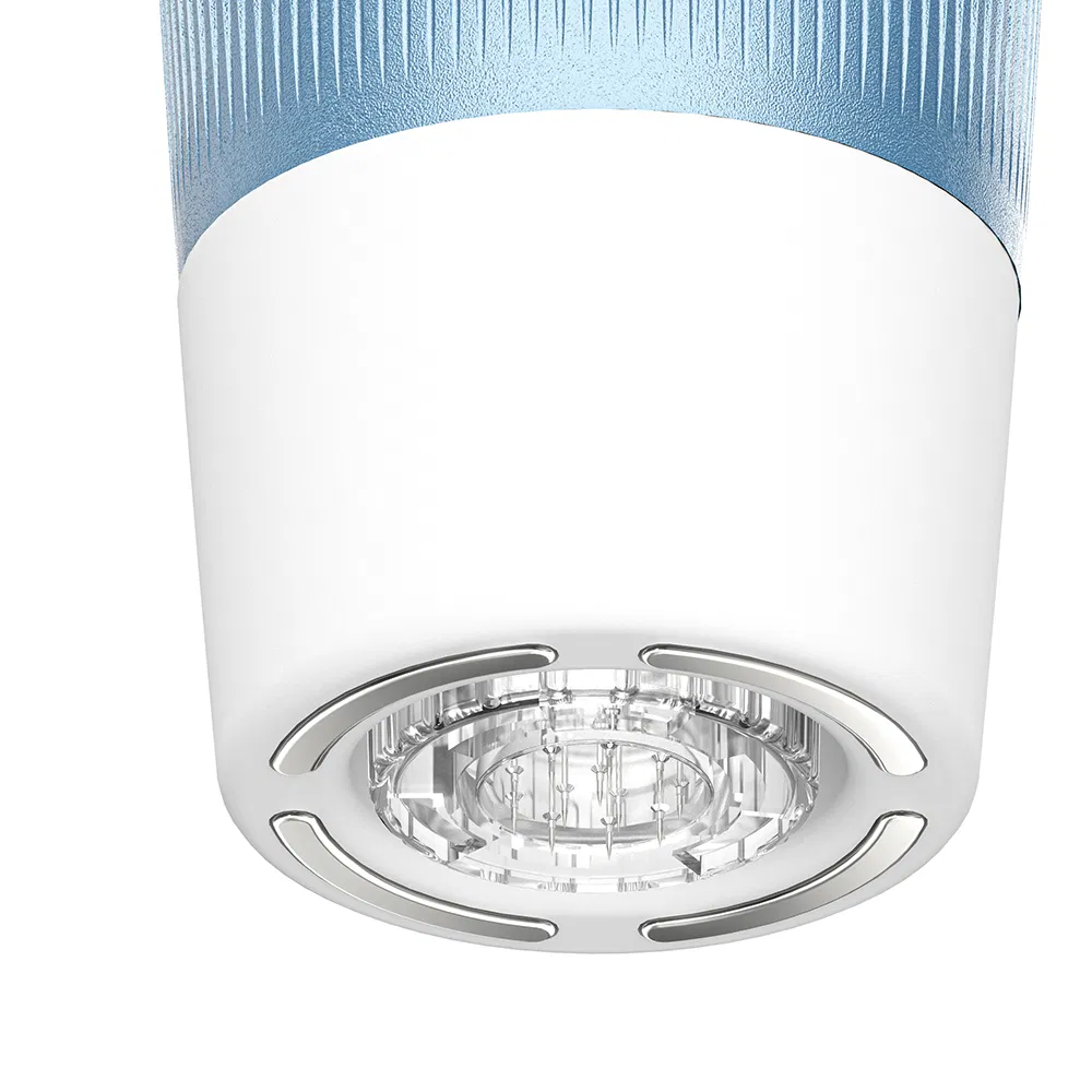 Advanced Skin Tightening Microneedle Beauty Device for Home Use