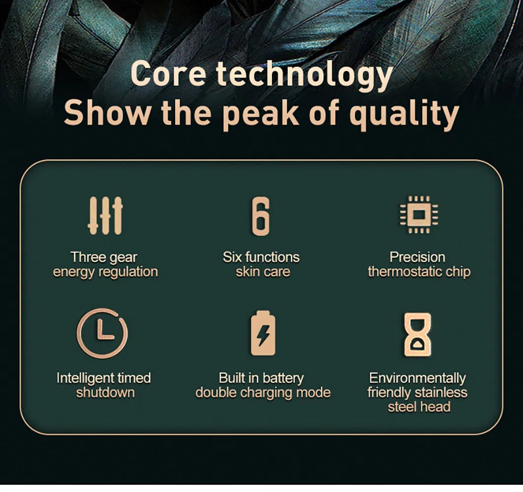 Customized Household EMS Microcurrent Vibration Ion Hot and Cold Anti-Wrinkles Beauty Device