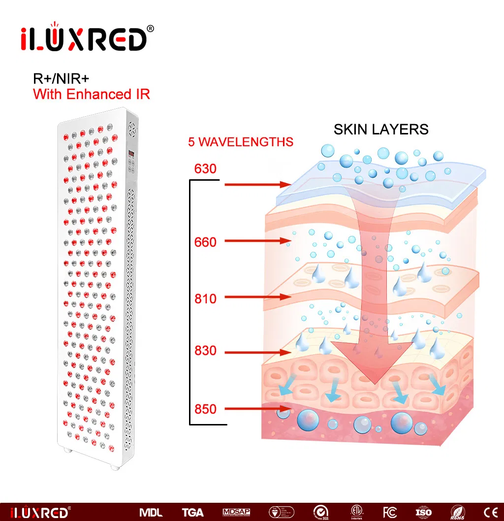 OEM ODM Available Stock for Beauty Salon 5 Wavelengths LED Facial Treatment Full Body Infrared LED Red Light Therapy Sauna Panel Bed Device Handheld