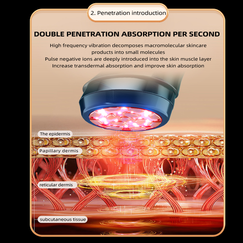 New EMS RF 6in1 Anti-Aging Face Lifting Light Therapy Customized Beauty Device