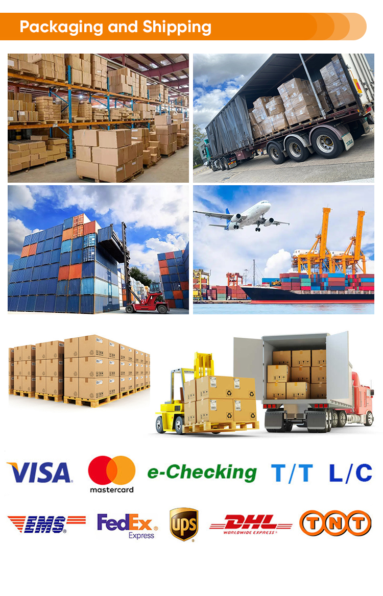 Delivery and Logistics Info